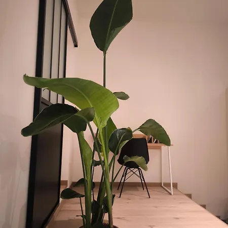 Le Castel Mosan Namur