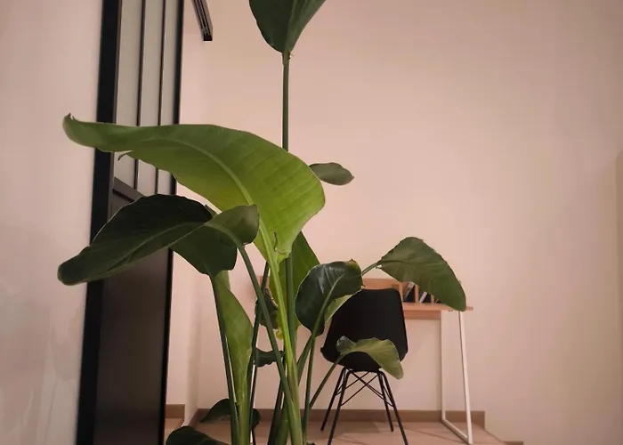 Le Castel Mosan 那慕尔